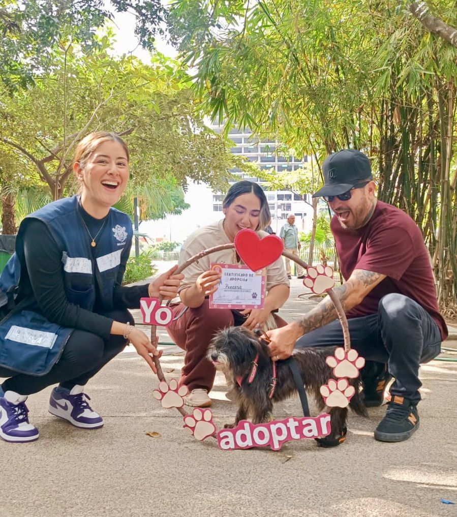 Perrito adoptado en la campaña de Huellitas del Bienestar.