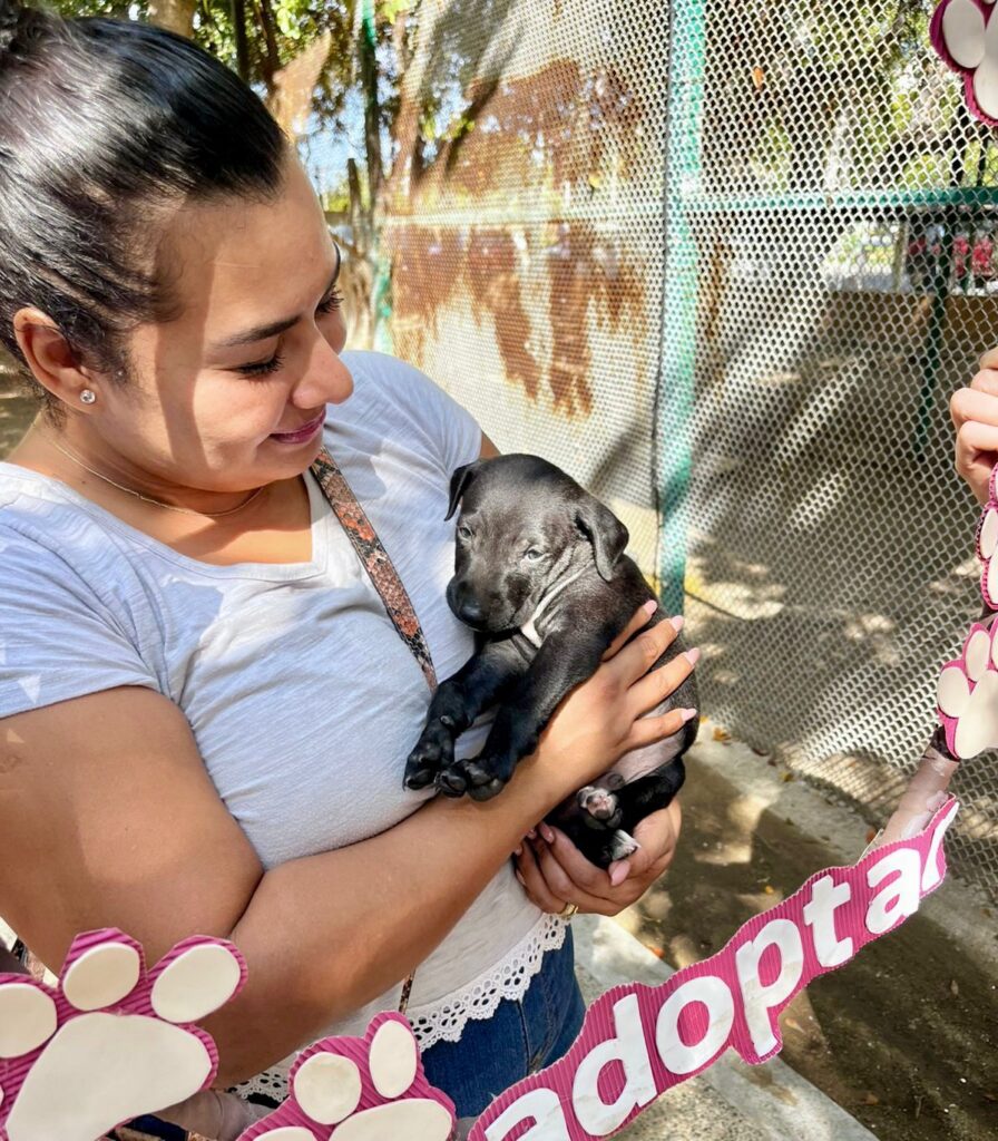 Perro de raza pequeña con su nueva familia.