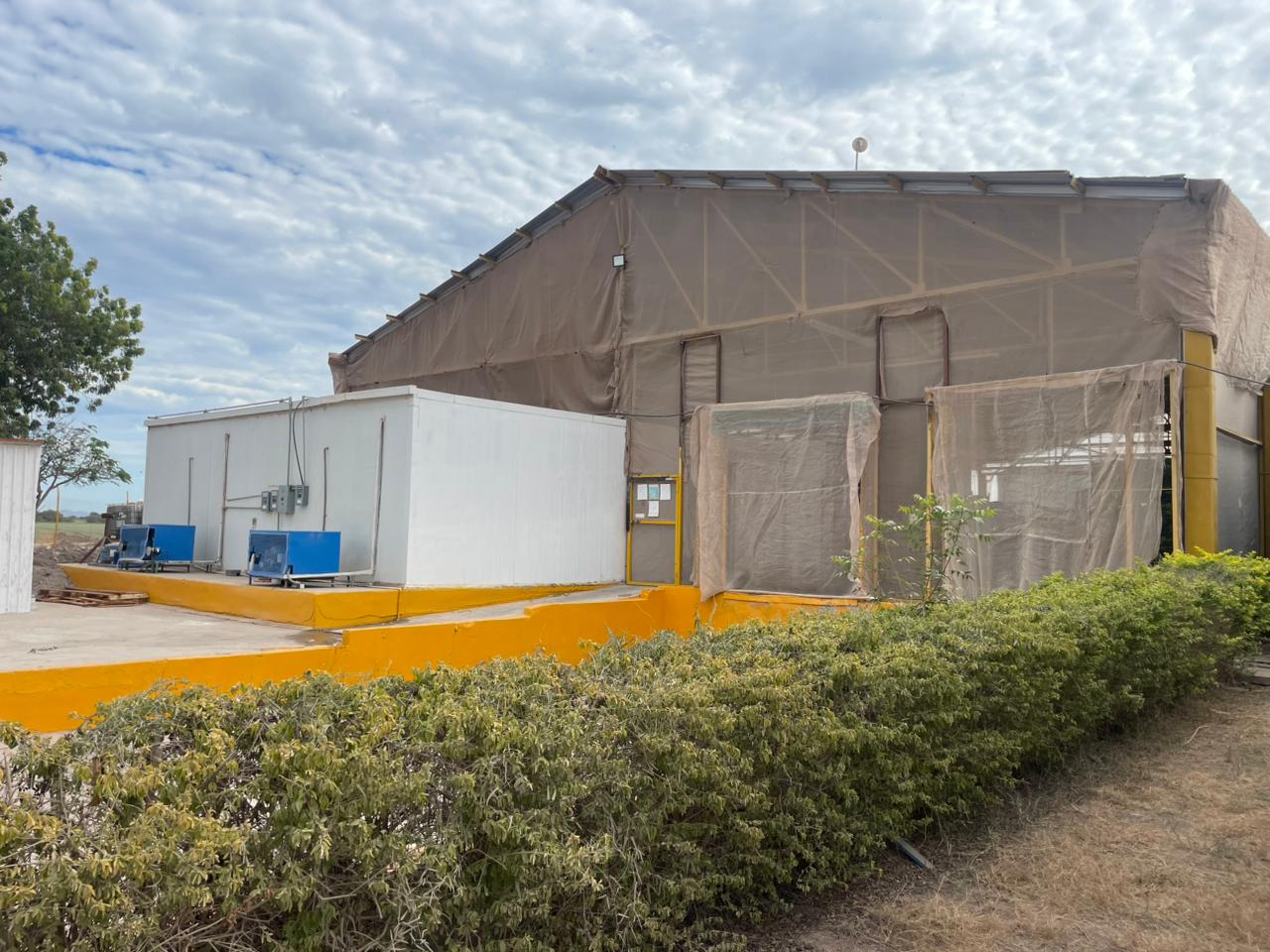 Empaque agrícola en Juan José Ríos