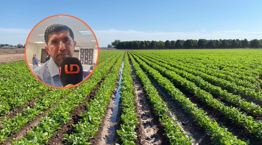 José Epifanio Machado Coronel en un círculo y al fondo una siembra agrícola