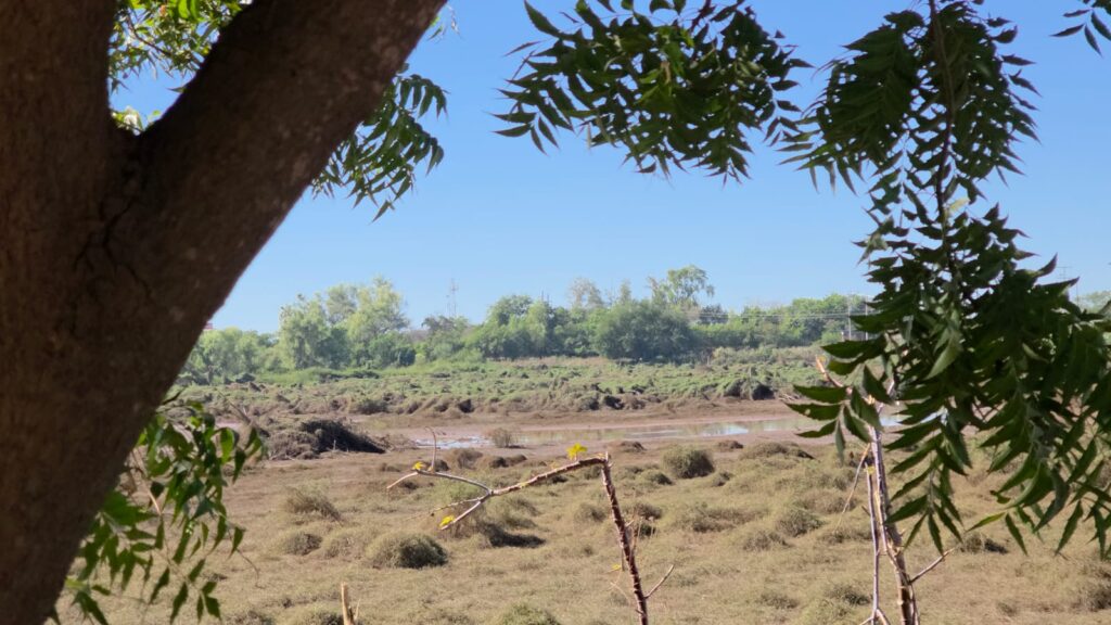 Monte limpio junto a canal