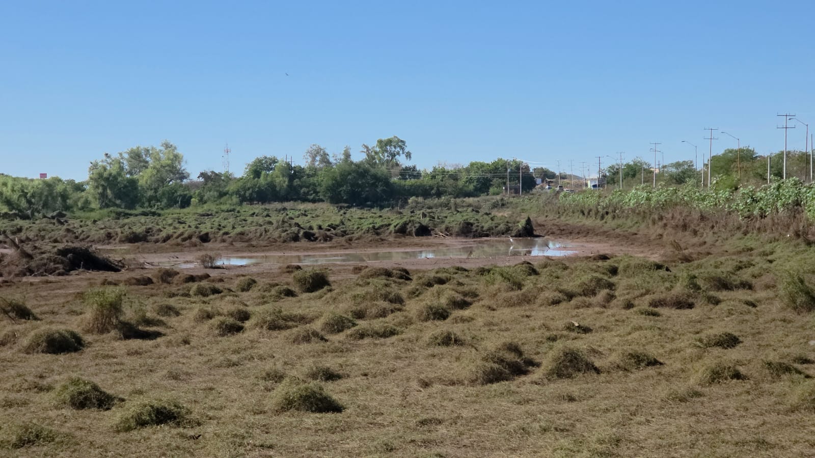 Monte limpio junto a canal