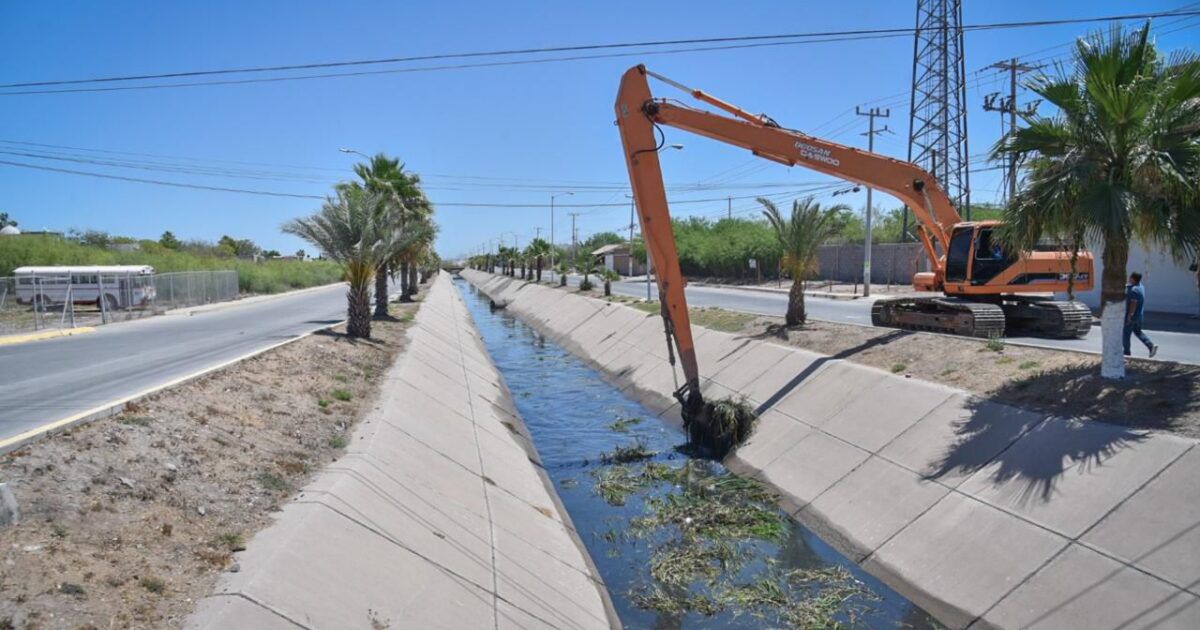 Realizan los trabajos de limpieza del dren Juárez
