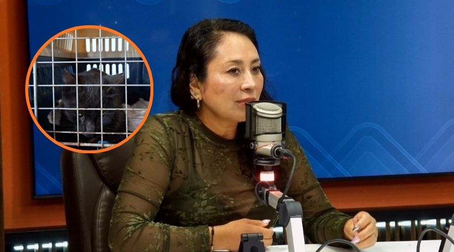 Mujer sentada en un estudio de grabación con un micrófono enfrente y en un círculo un gatito negro en una jaula