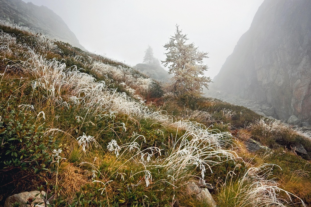 Zona montañosa con neblina