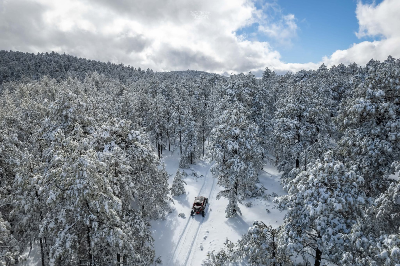 Paisaje boscoso con una camioneta en un camino cubierto de la blanca nieve