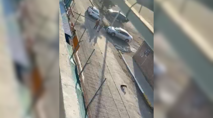 Perrito lesionado en la calle y a unos metros una mujer, presunta responsable de atropellarlo.