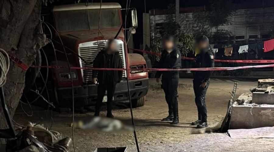 Tres personas en terreno junto a perro asesinado
