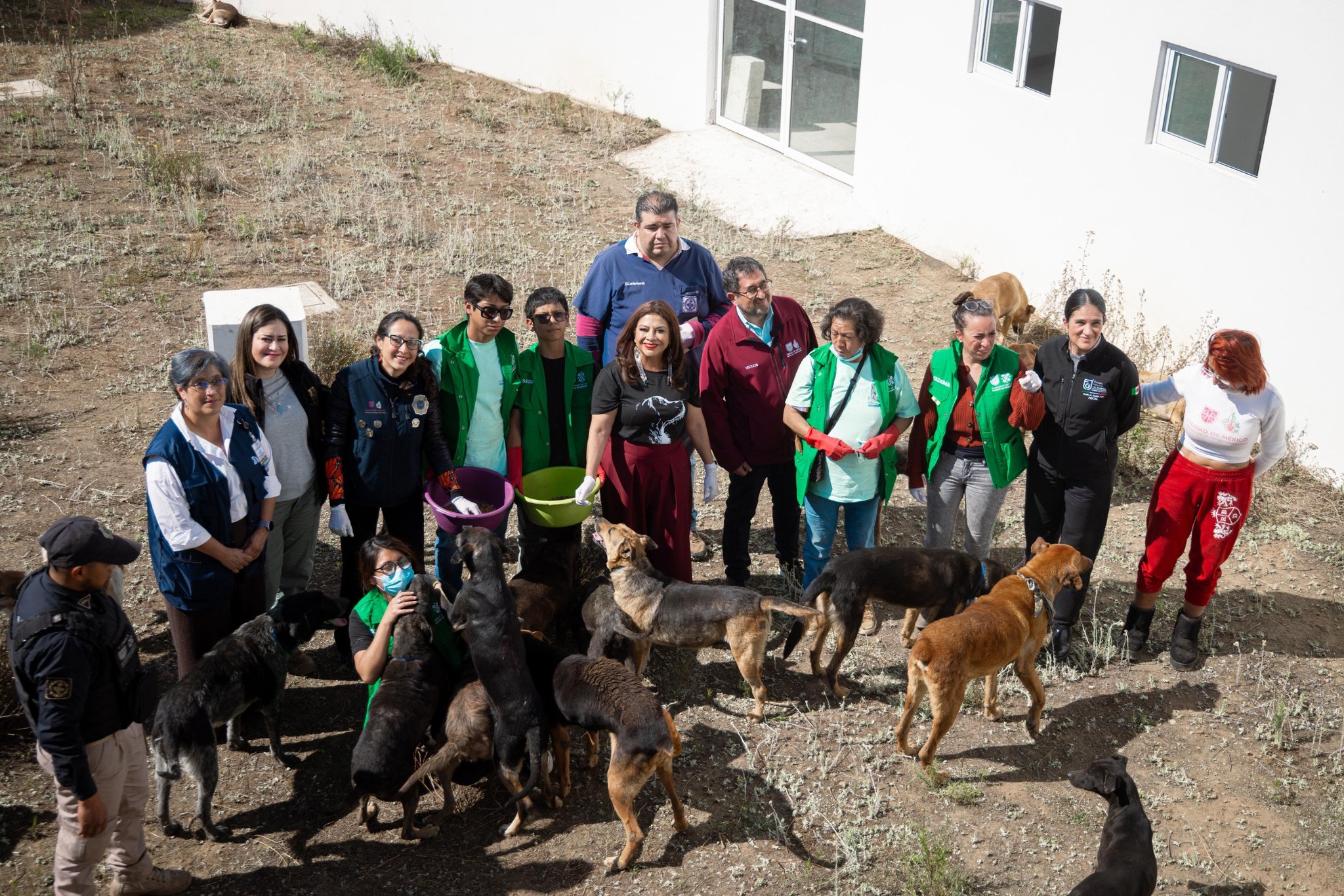 Trasladan a 304 perros del Refugio Franciscano a reserva en el Ajusco; Brugada impulsa adopción