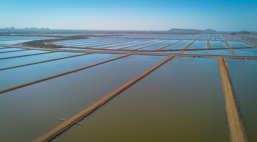 Pesca y Acuacultura