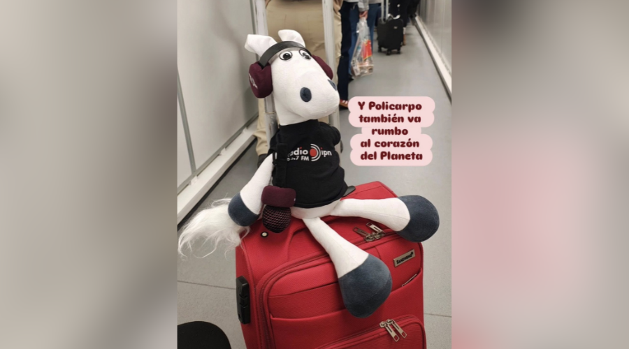 Burro de peluche sobre una maleta