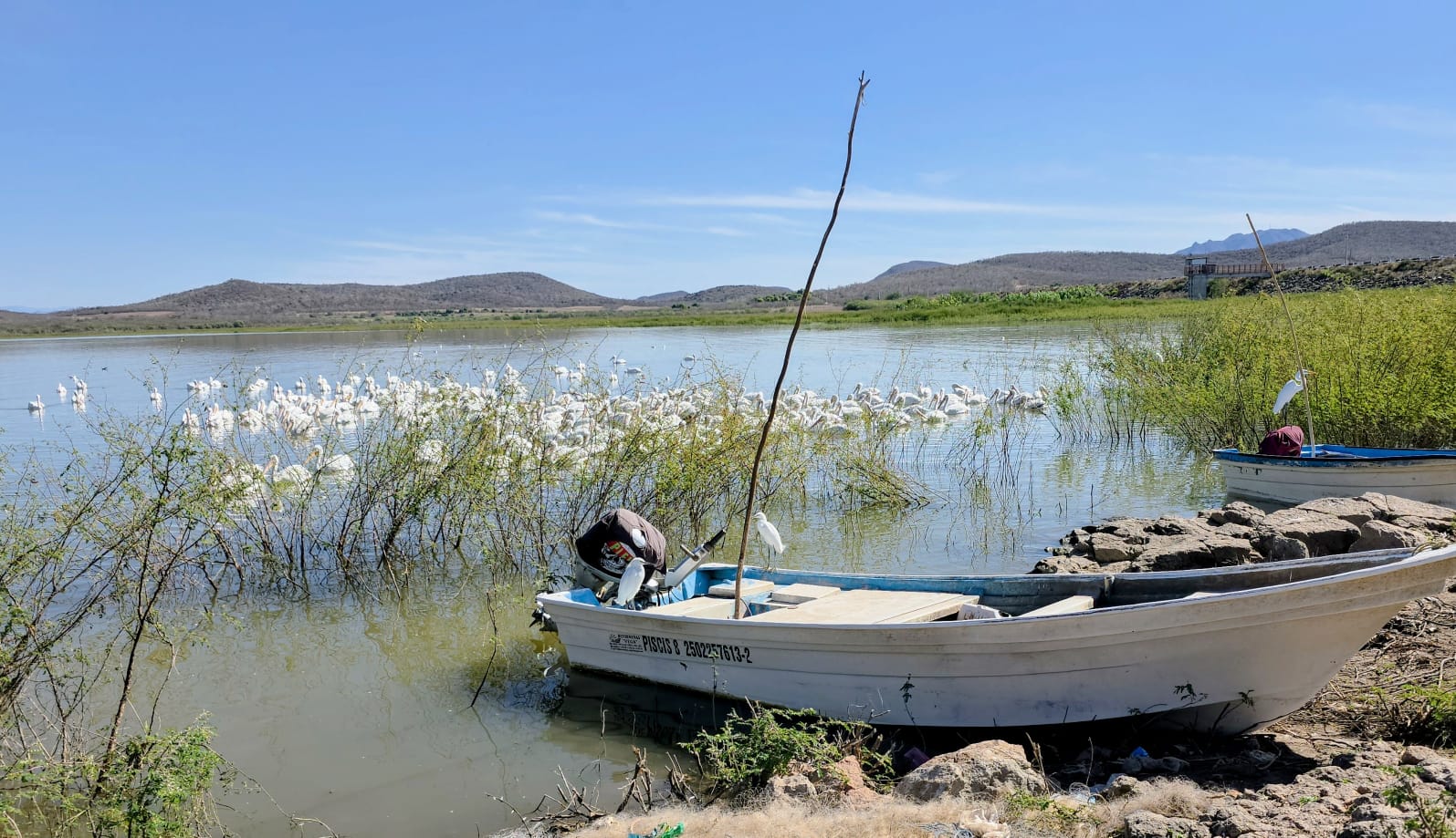 Presa Eustaquio Buelna junto a una panga