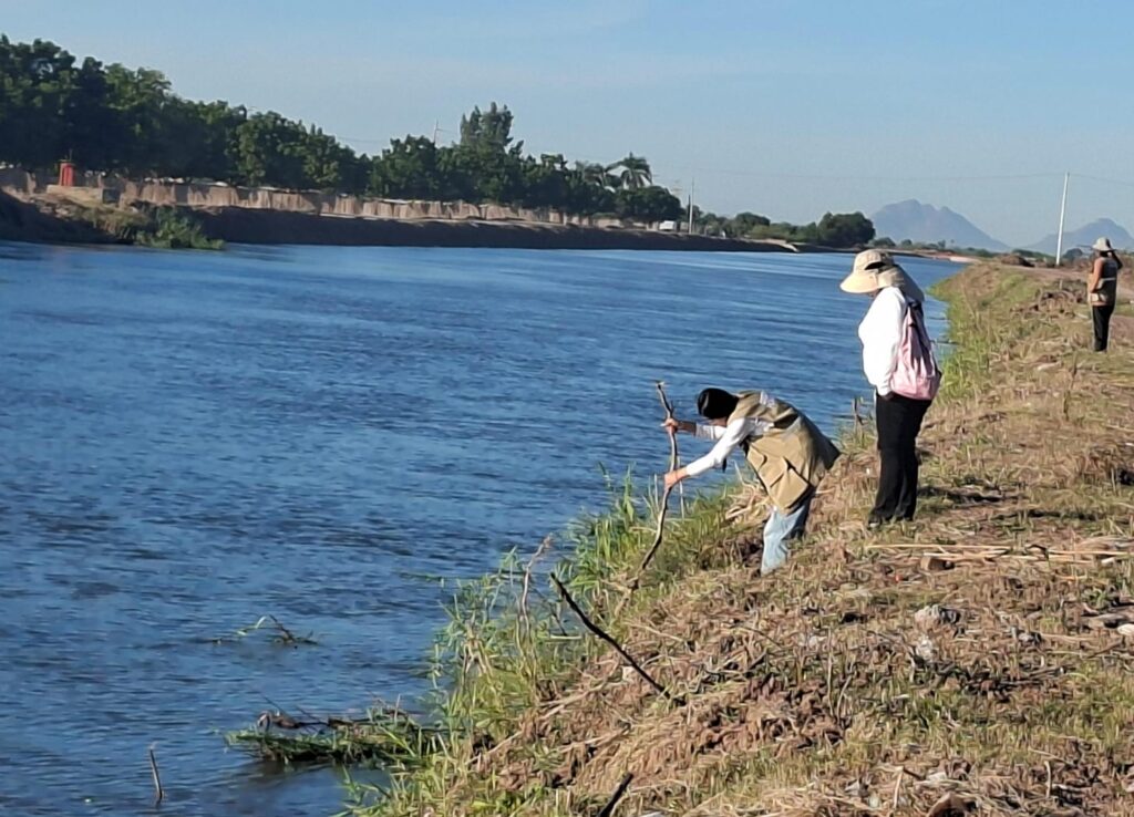Canal Alto en Sinaloa municipio