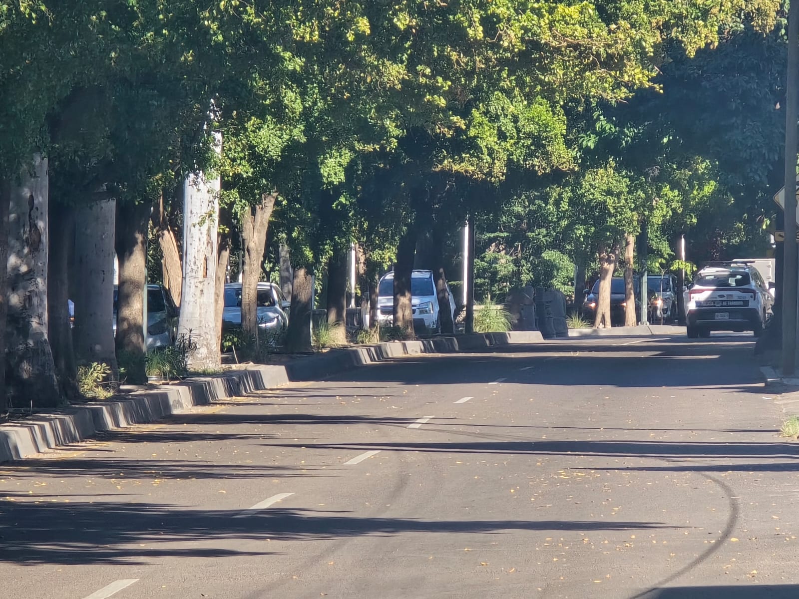 Vialidad abierta
