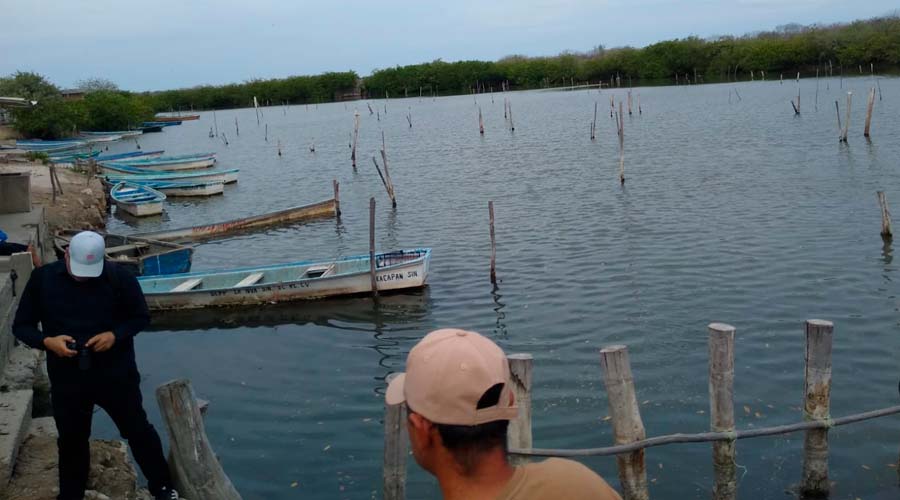 Registran mala temporada de Camarón en El Huizache