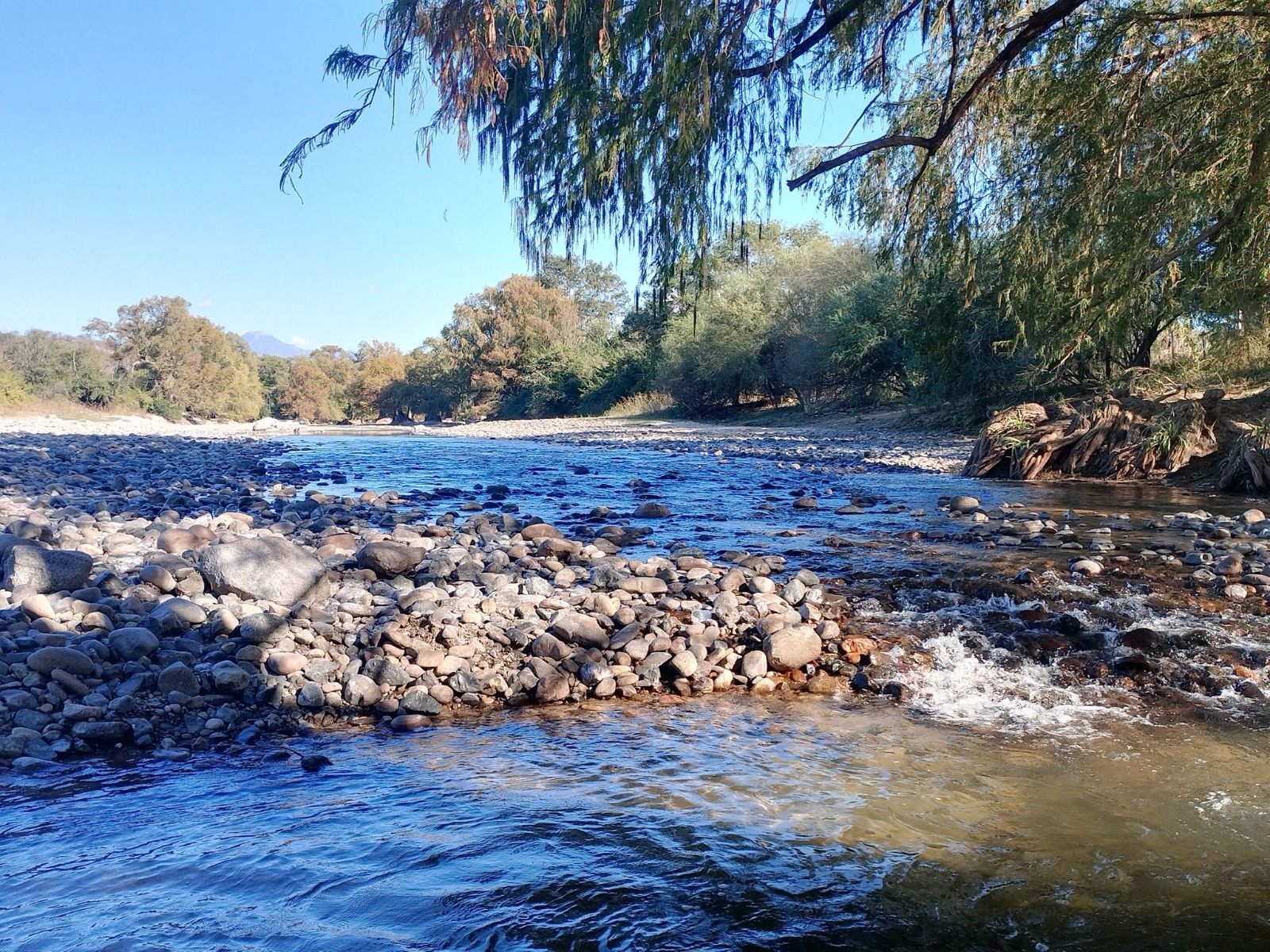 Represa en Choix