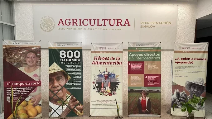 Secretaría de Agricultura en Culiacán