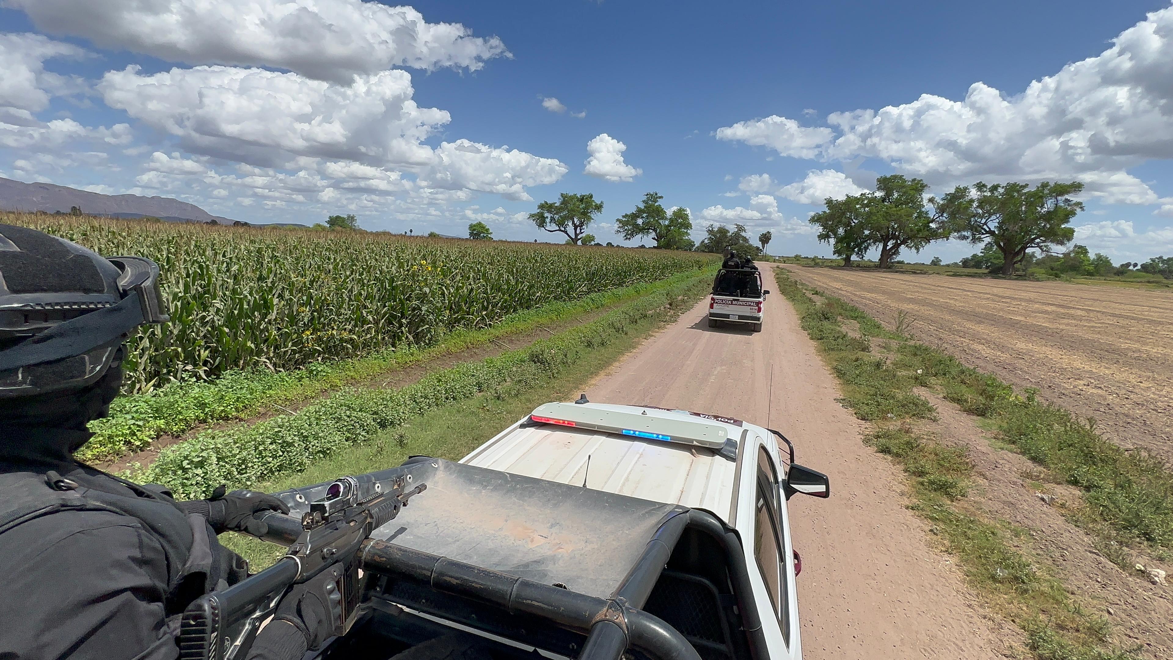 Policías en camino de terracería en cosechas