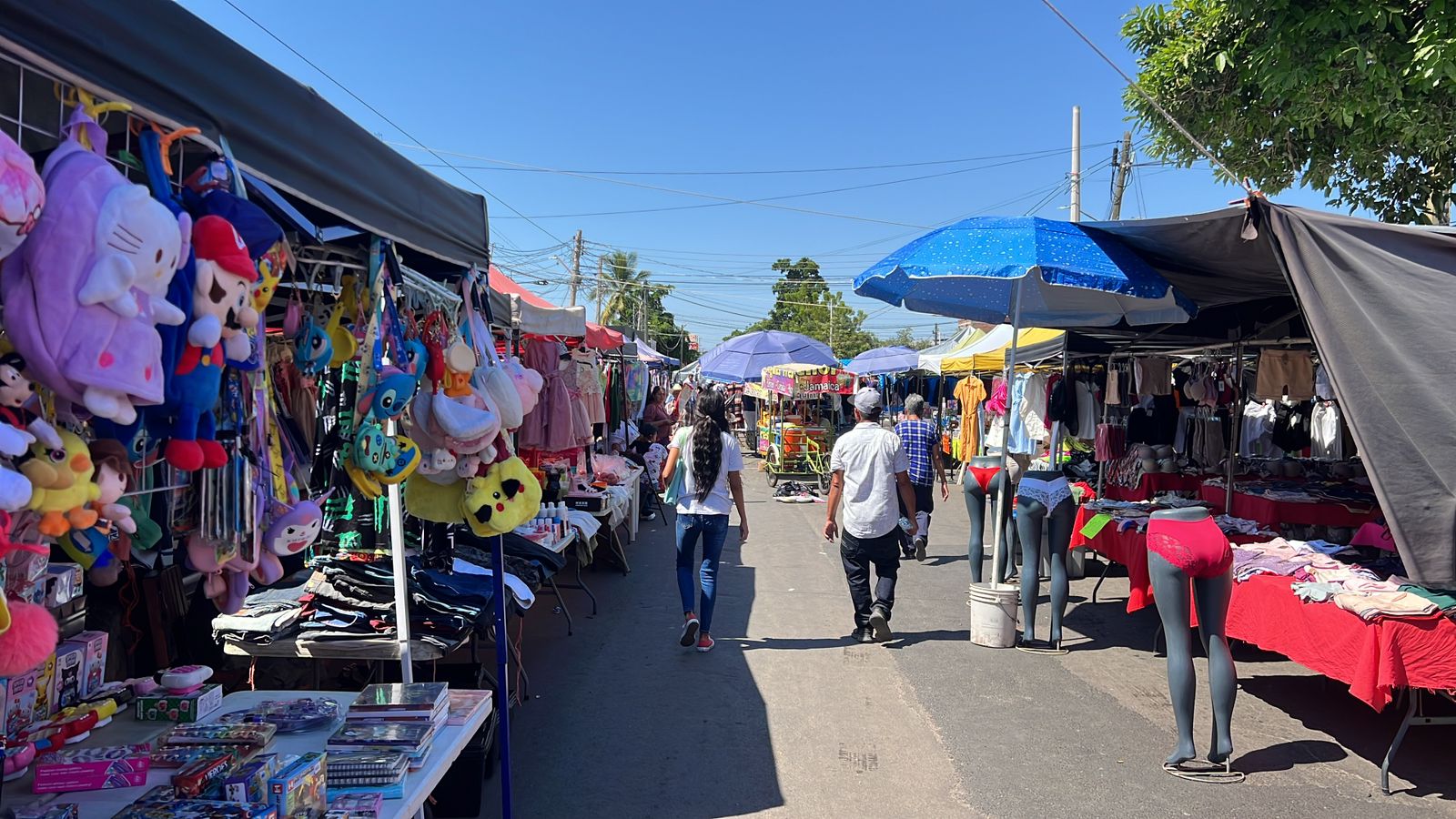 TIANGUIS HUIZACHES CULIACÁN