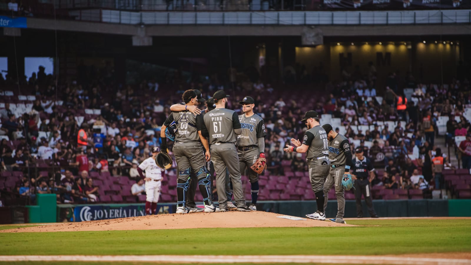Tomateros y Algodoneros