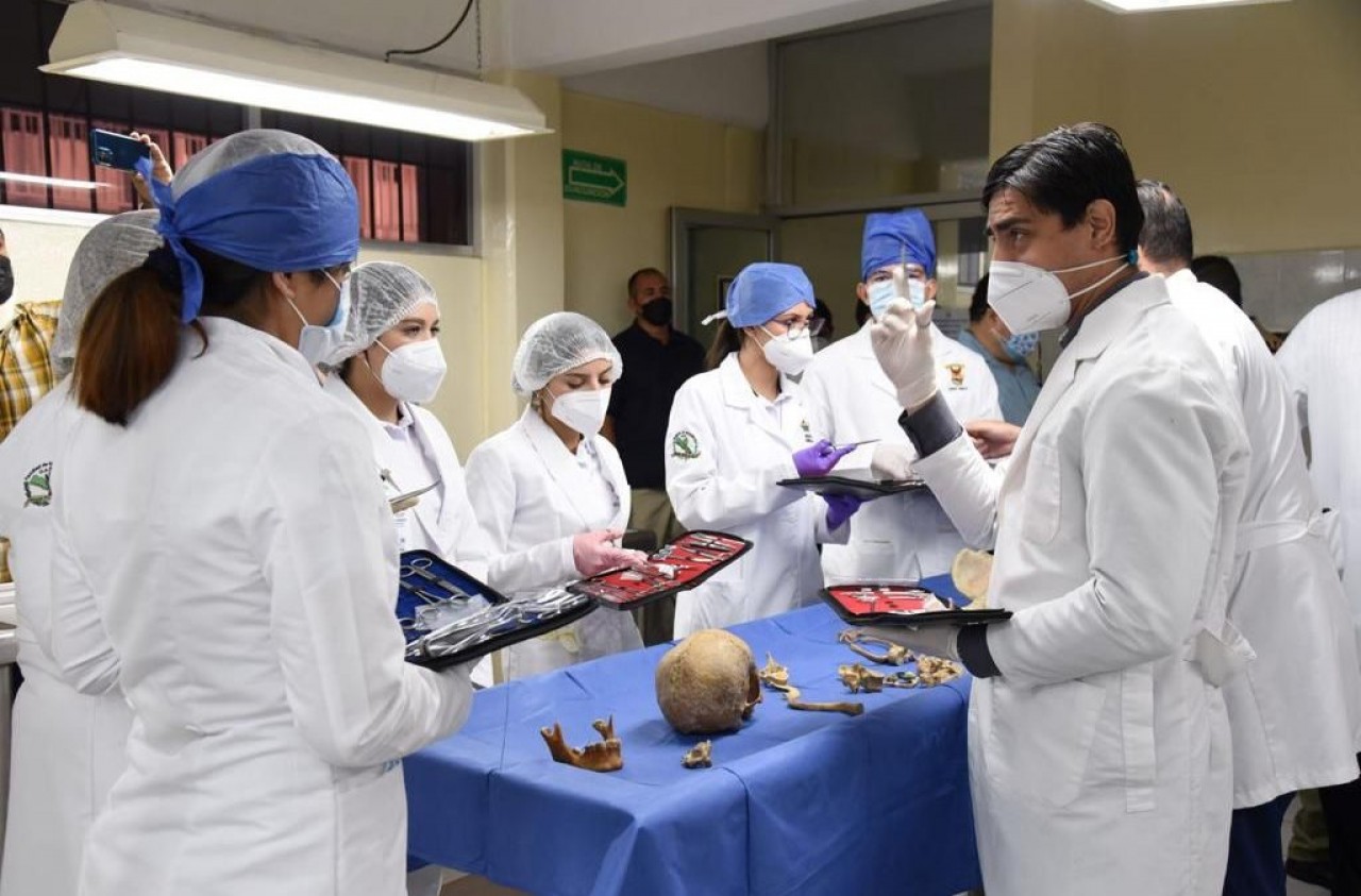 Estudiantes analizando muestras