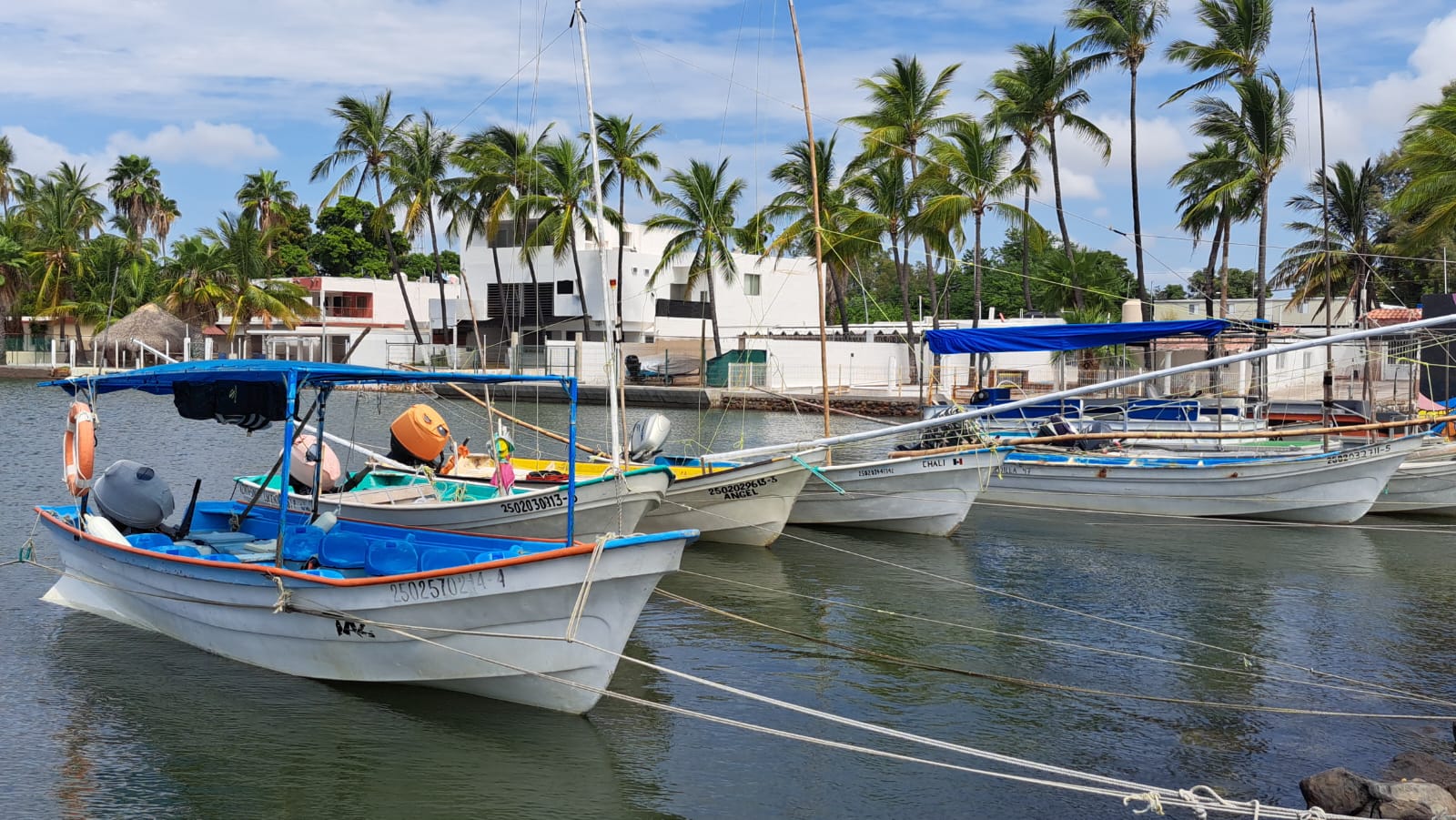 Pangas de pescadores moviéndose por el mar