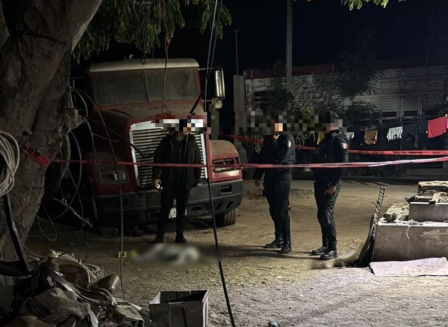 Perro sin vida por impactos de bala