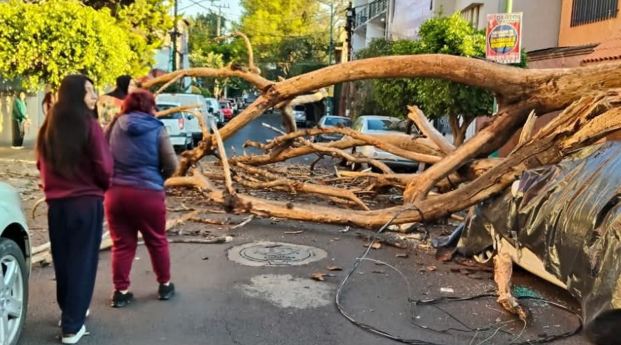 Sismo en Guerrero.