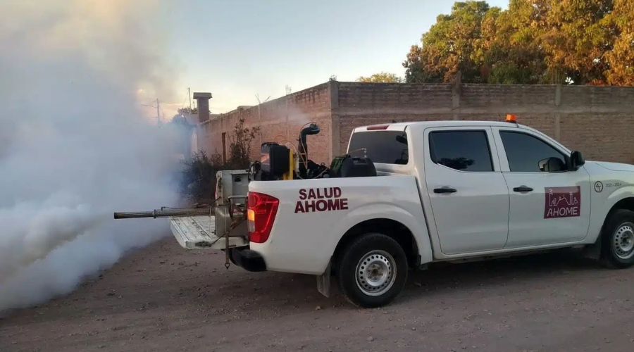 Fumigación del mosco transmisor de dengue