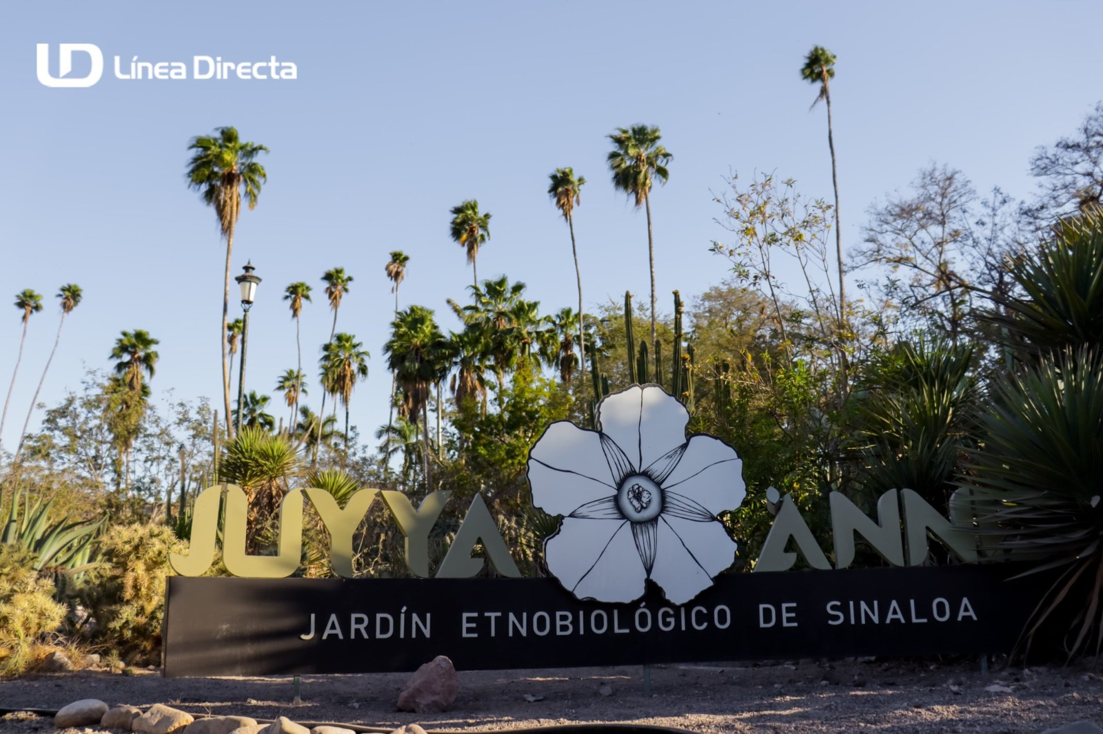Jardín Etnobiológico de Sinaloa
