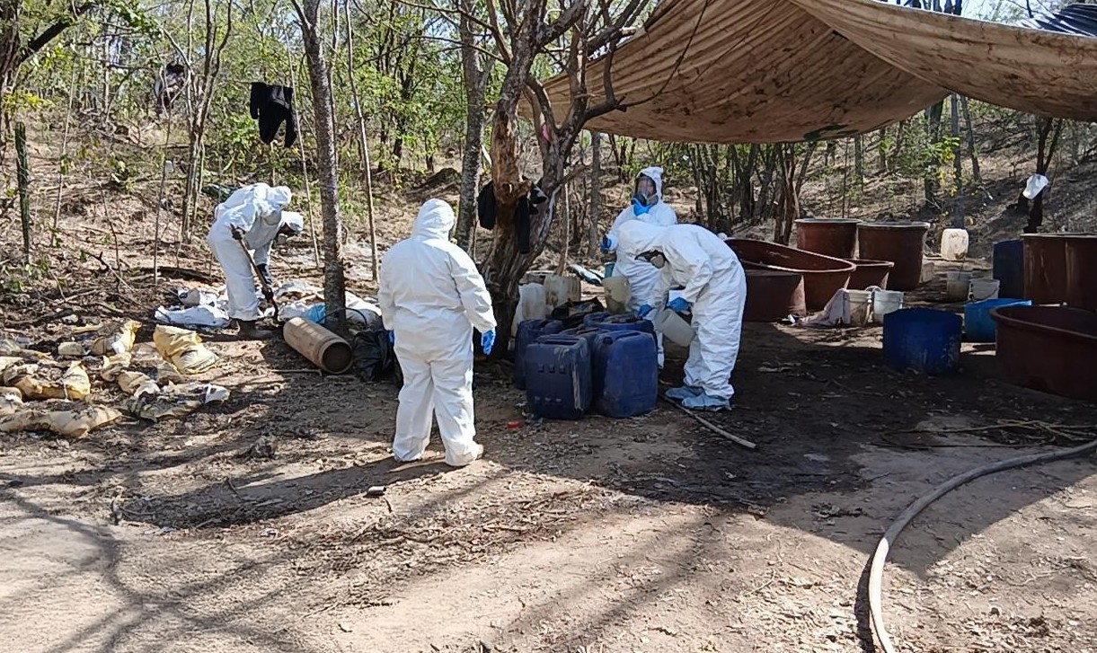 Personas con traje blanco en una zona boscosa/sierra en un laboratorio improvisado