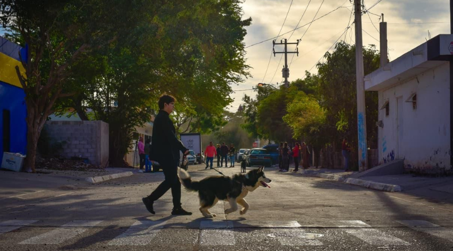 Calle de Los Mochis