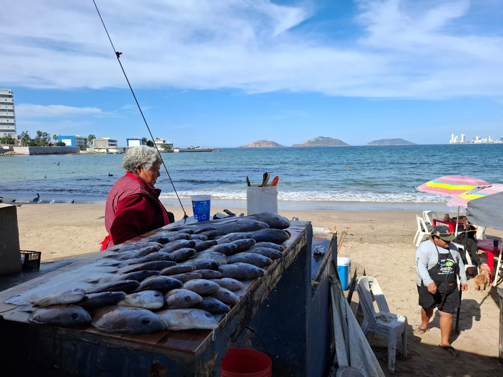 Pescadores de playa Norte en Mazatlán