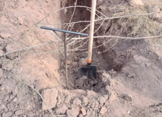 fosa clandestina en Guasave
