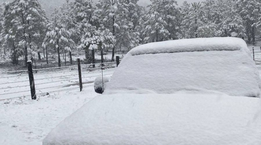 Automovil lleno de nieve en Chihuahua