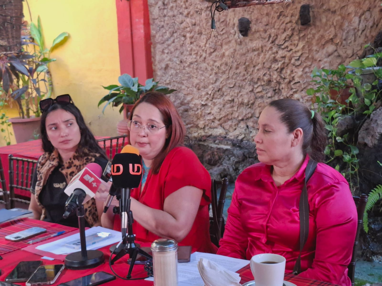 mujeres sentadas detrás de mesa con micrófonos enfrente de ellas y plantas detrás