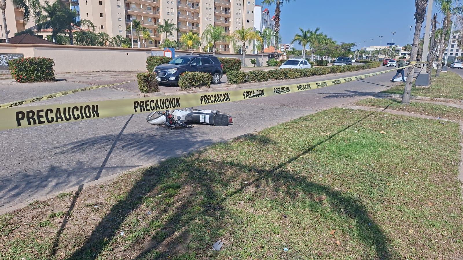Motociclista queda sin vida al chocar contra una palmera