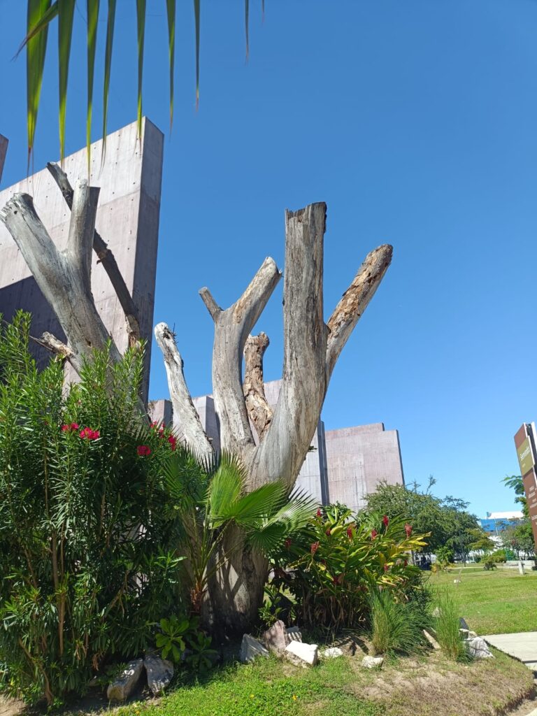 Gran Acuario Mazatlán