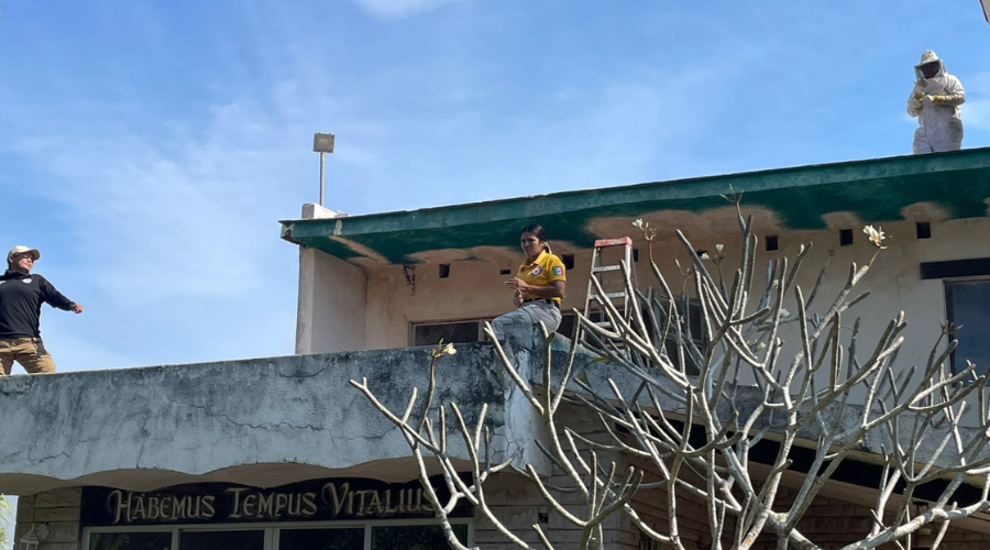 Brigada de Protección Civil