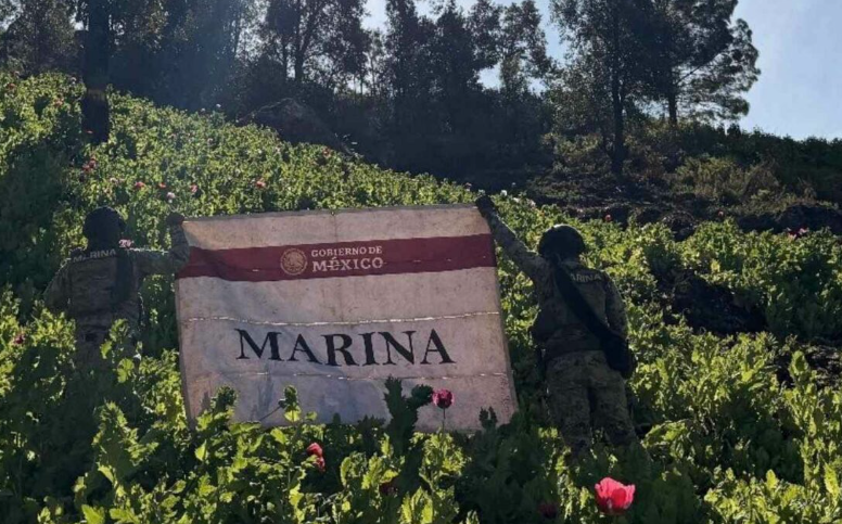 Decomiso de Marihuana