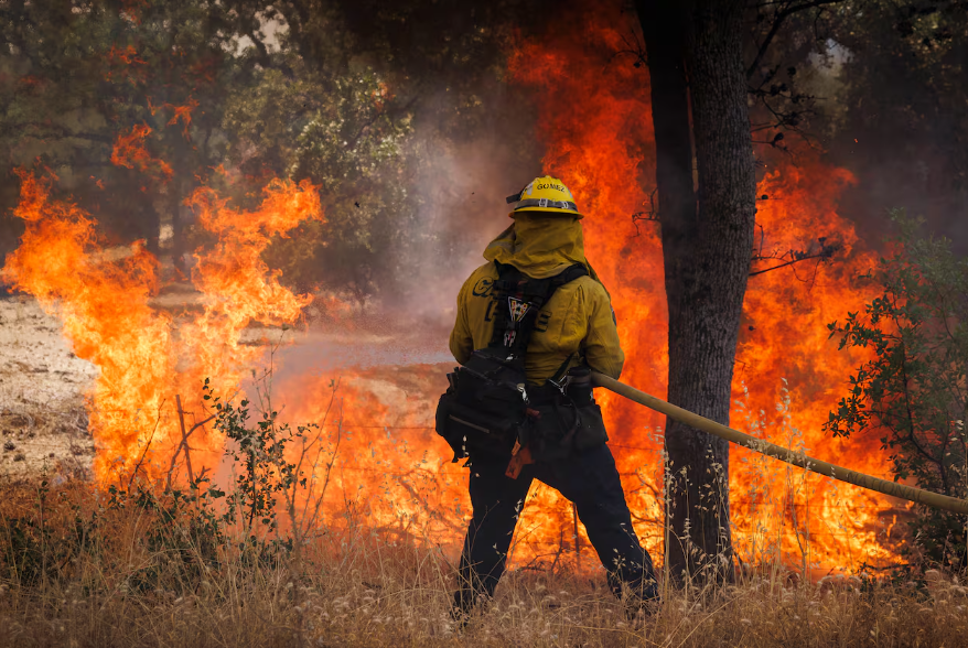 Incendio en Everglades arrasa más de 10 mil hectáreas y alerta a autoridades ambientales