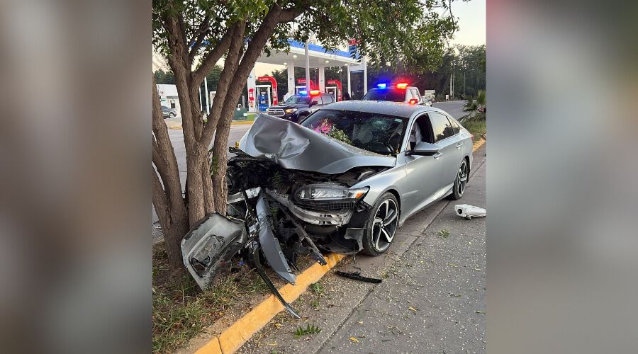 Carro con la parte delantera destrozada por chocar con un árbol