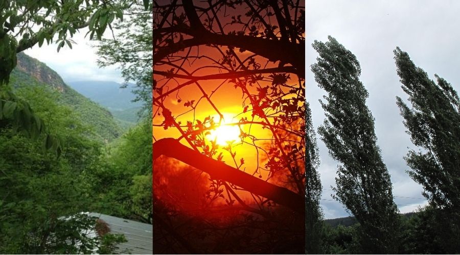 3 tipos de clima