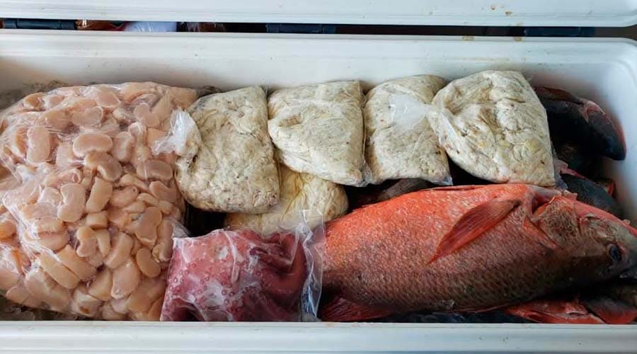 Mariscos en congelador en Guasave