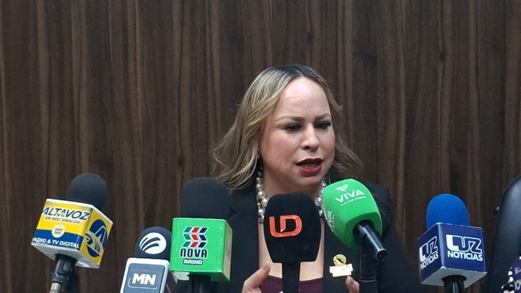 Dulce Ruiz Castro, presidenta de la AMMJE