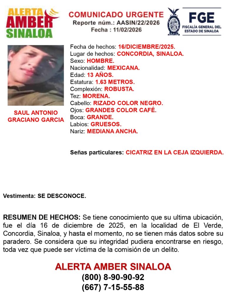 Ficha de búsqueda