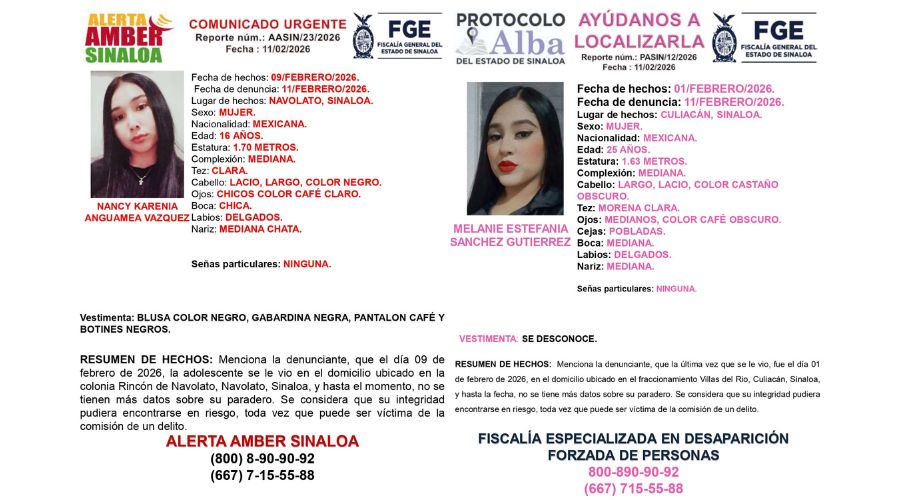 Fichas de búsqueda