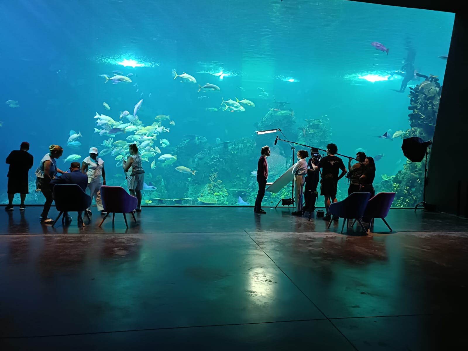 Gran Acuario Mazatlán