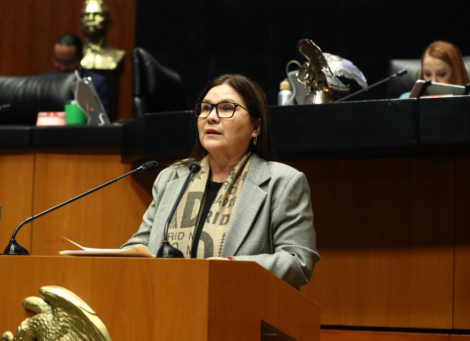 Imelda Castro Castro, senadora de la República por el partido Movimiento de Regeneración Nacional