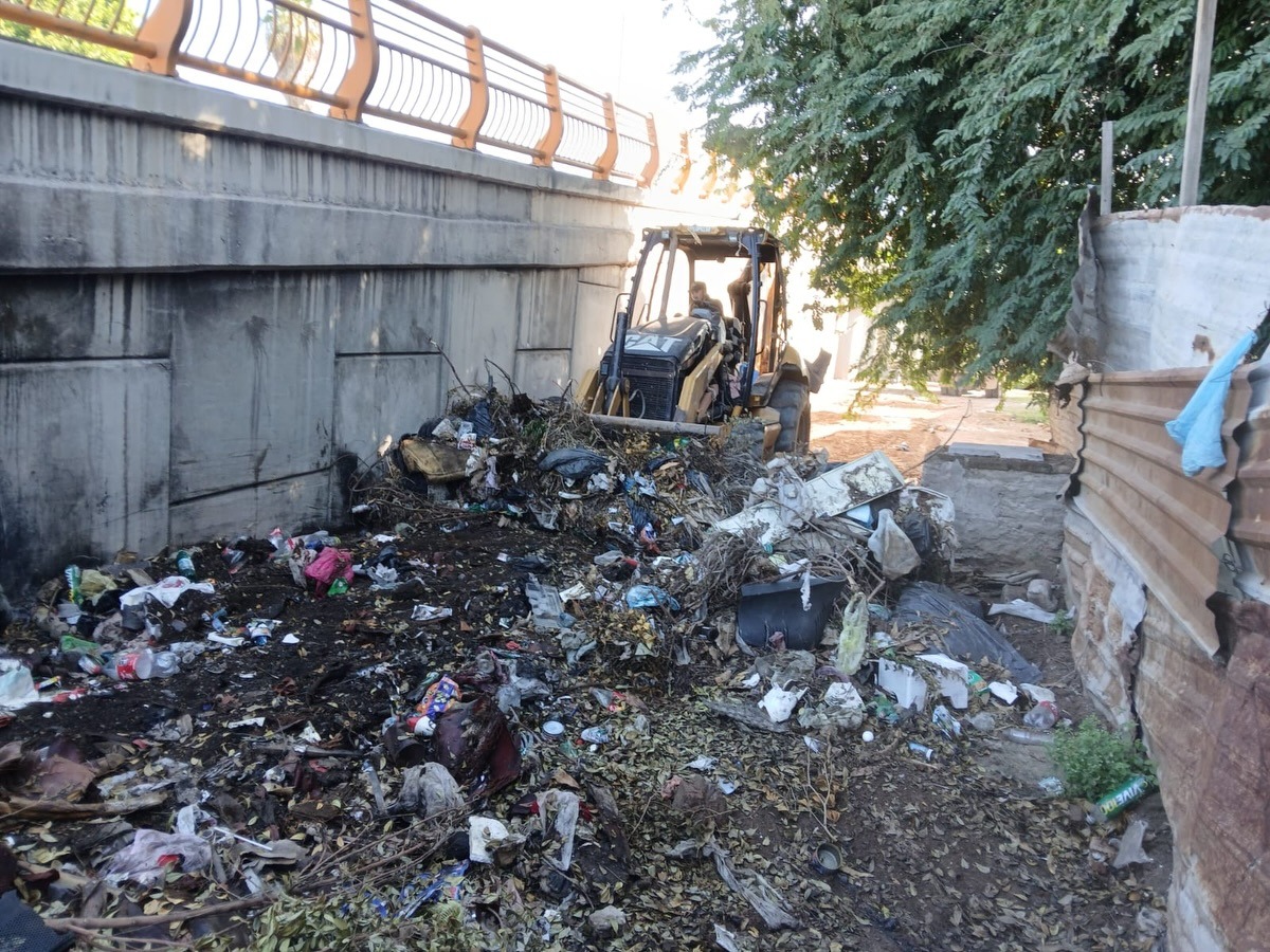 Destapan basurero con plaga de ratas en el malecón